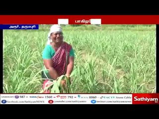 விளை நிலங்கள் அழிய போகிறதே -பெண்கள் கண்ணீர் விட்டு அழுத காட்சி காண்போரை கண்கலங்க வைக்கிறது