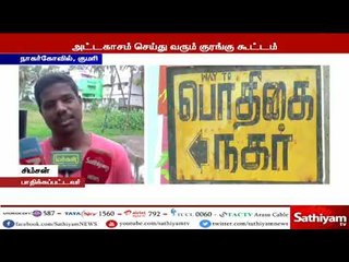 நாகர்கோவில் அருகே குடியிருப்பு பகுதிகளில் அட்டகாசம் செய்யும் குரங்குகளை பிடிக்க நடவடிக்கை