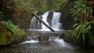 The Forest Waterfall HD The Calming Sound of Water