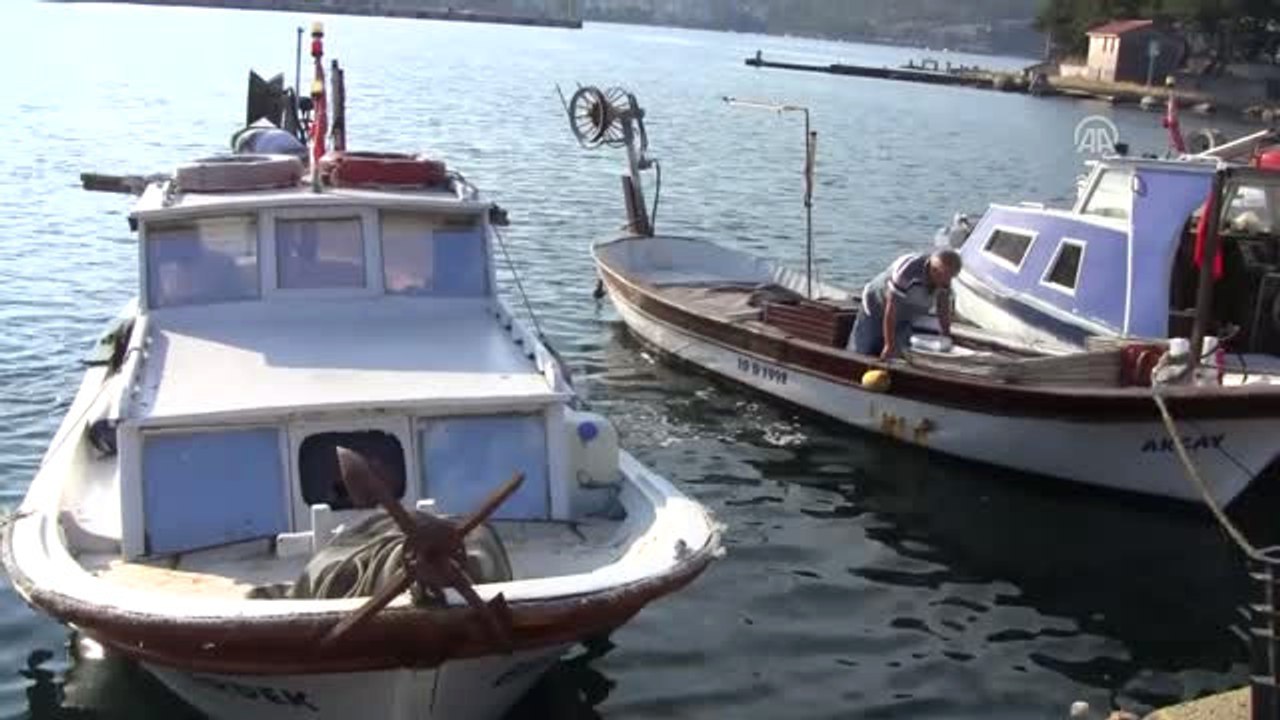 Erdek'te Yarım Asırlık Balık Mezatı
