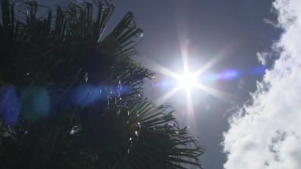 가마솥 지구촌..."무더위에 11억 명 위험" / YTN