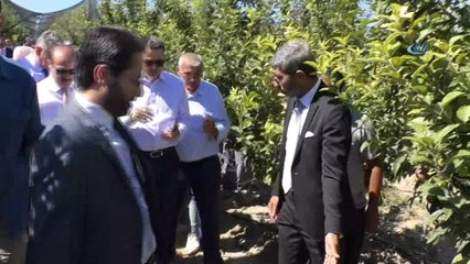 Bakan Pakdemirli Yozgat'ta meyve bahçesini gezdi