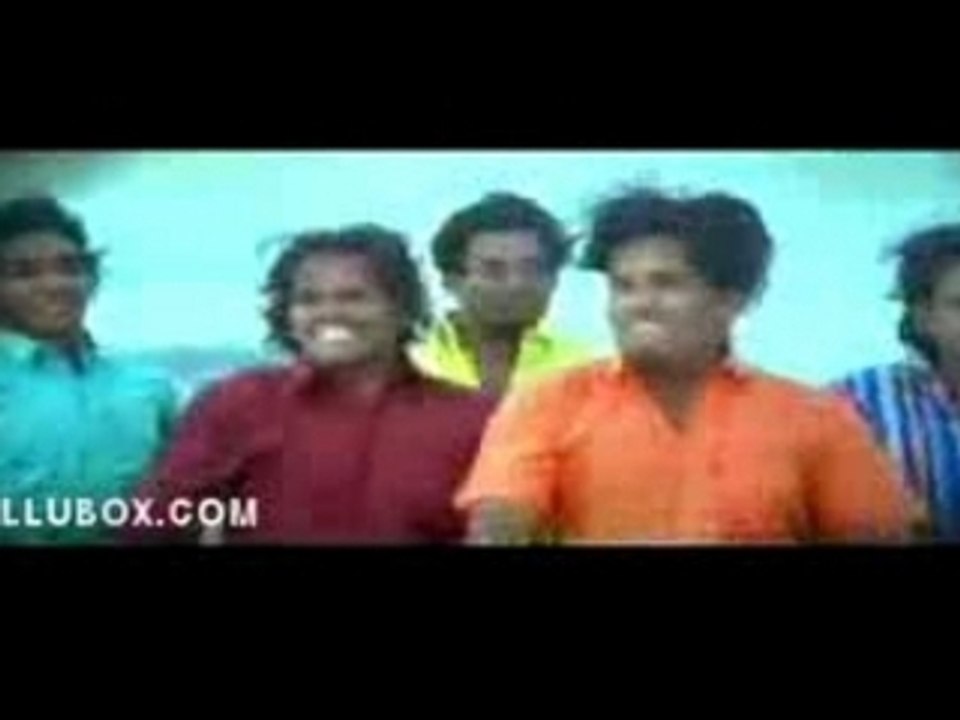 Kangaru1_NEW