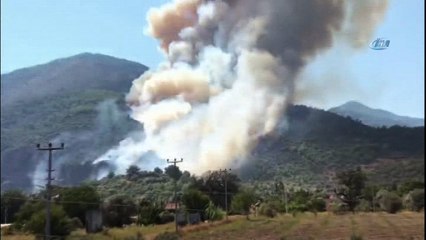 Anızdan ormana sıçrayan yangın rüzgarın etkisiyle büyüdü