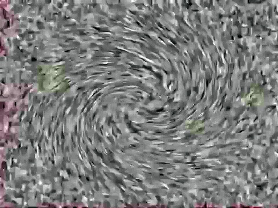 I Drained Klasky Csupo