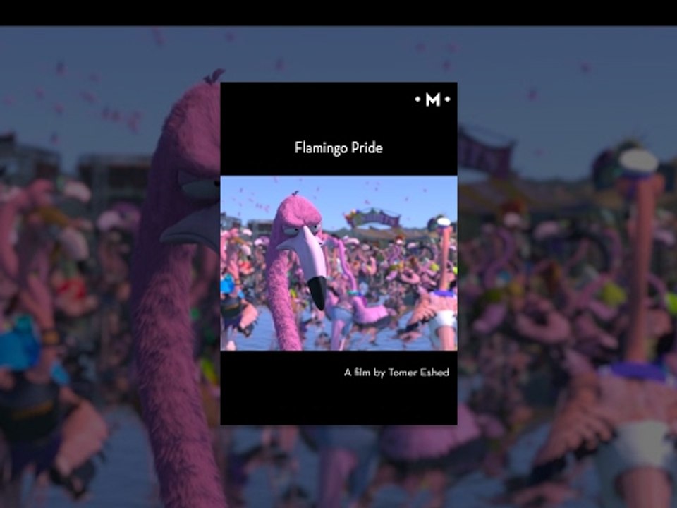 Flamingo Pride | A Short Film by Tomer Eshed