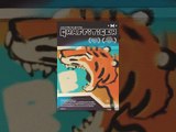 Graffitiger | A Short Film by Libor Pixa