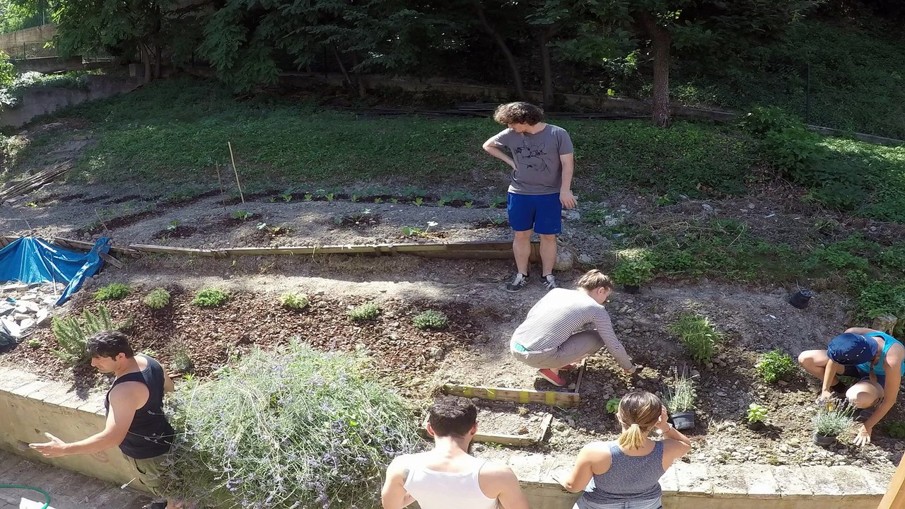 Orto X Orto - TimeLaps