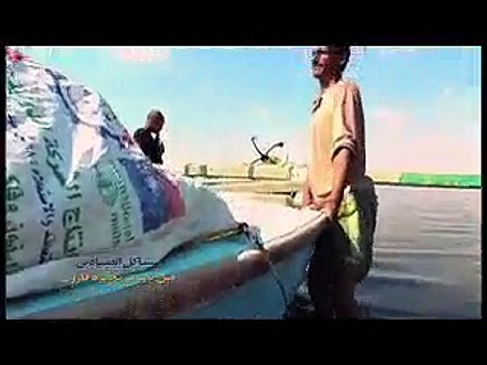 تعرف على جهود وزارة الزراعة لتطهير بحيرة  قارون