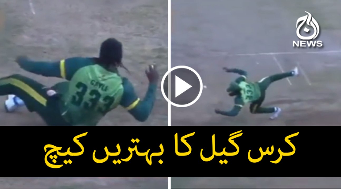 Chris Gayle's stunning catch in Global T20 Canada