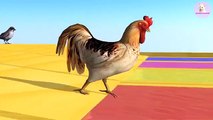 Learn Colors Learn Animals Goose Rooster Dove Duck Sparrows with Water colorful for Children