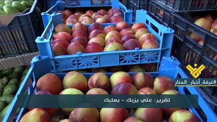 مزارعو البقاع يشتكون كساد الانتاج