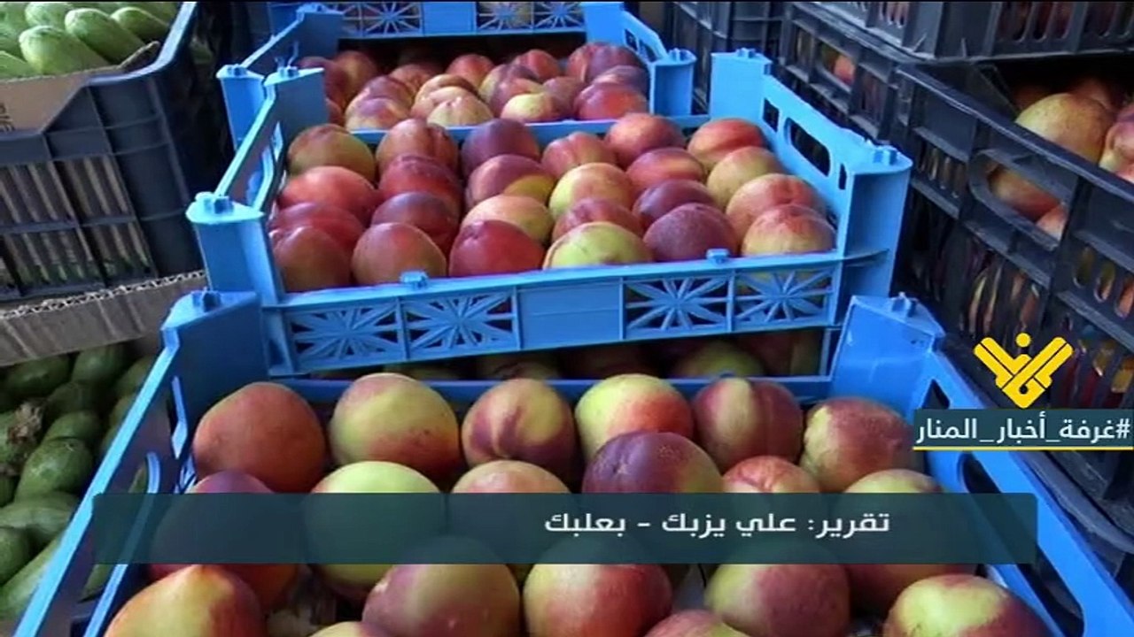مزارعو البقاع يشتكون كساد الانتاج