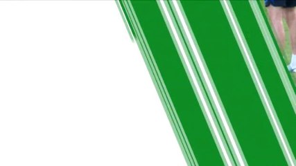 كرة قدم: الدوري الإيطالي: ايفان بيريسيتش- بطاقة لاعب