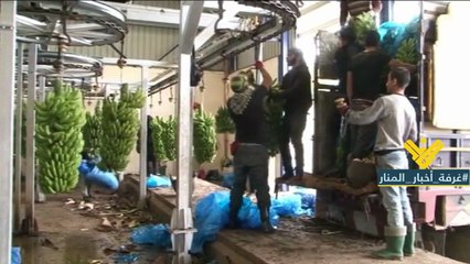 أكثر من تسعين ألفا يخسرون وظائفهم سنويا