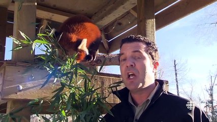 Rick Mercer Report S10e15 2013-02-19