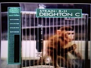 O.L. Die unbekannte Dimension  S01E04