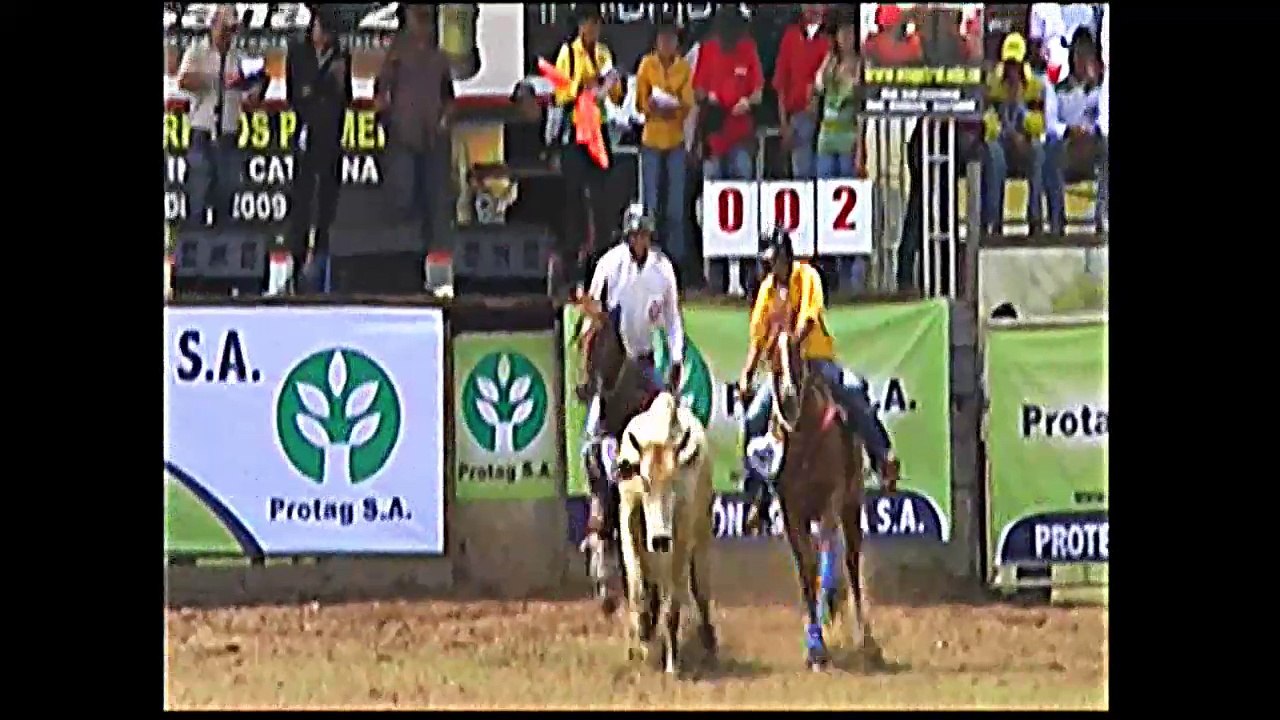 COPA AMERICA DE COLEO 2009
