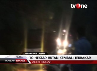 Sepuluh Hektar Hutan Kembali Terbakar di Aceh Tengah