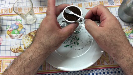 Brikka Cappuccino