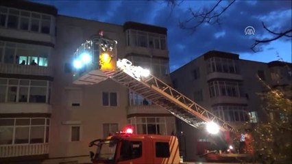 Silivri'de Ağaca Asılı Kalan Karga Kurtarıldı