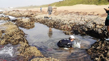 Man Releases Giant Trevally Fish
