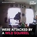 This bodycam footage captures the moment a delinquent squirrel lunges at police officers 