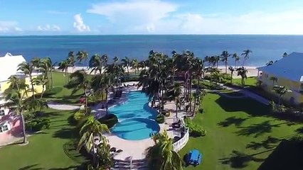 HOW TO CATCH, CLEAN & COOK LOBSTER and CONCH in the BAHAMAS!