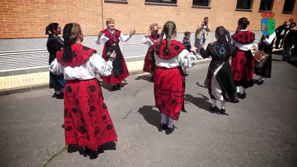 ROMERIA DE LA PIEDRA CAMINO DE CARROS