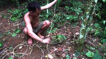 Tecnología primitiva: hacer sandalias con alambre forestal | Primitive Technology_ Make sandals from forest wire