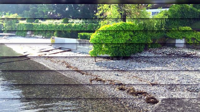 A louer - Appartement - Collonge-Bellerive (1245) - 1.5 pièces