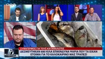 Δεσμεύτηκαν 680 κιλά επικίνδυνα ψάρια που τα είχαν έτοιμα για το καλοκαιρινό μας τραπέζι (ΑΡΤ, 17/7/18)