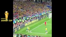 Brazil vs Serbia 2- 0 - All Goals & Highlights - World Cup 2018 HD