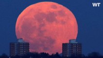 The Moon Will Become Blood Red Soon During a Total Lunar Eclipse