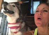 Owner Sings Adorable Off-Key Duet With Her Husky