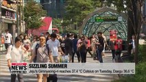 Could South Korea be facing hottest summer on record?