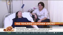 Yaz tehlikesi lejyoner virüsünün kaynağı klimaların içinde