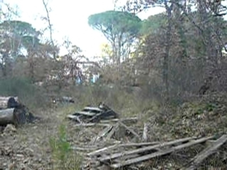 P1010165