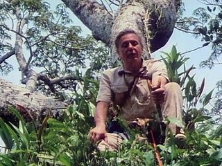 Bbc The Living Planet 04of12 Jungle