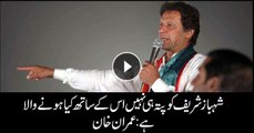 Imran Khan says Shehbaz doesn't know about his future