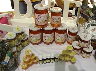 Etno festival u Kladovu od 20.-22.jula, 18. jul 2018. (RTV Bor)