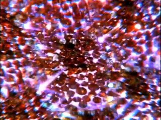 Family Affair S02E01