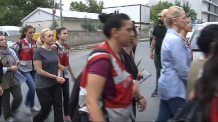 Kedicikler 29 Mayıs Hastanesi'nde sağlık kontrolünden geçiriliyor