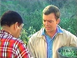 Mayberry RFD - S01E20 - Sam the Expert Farmer
