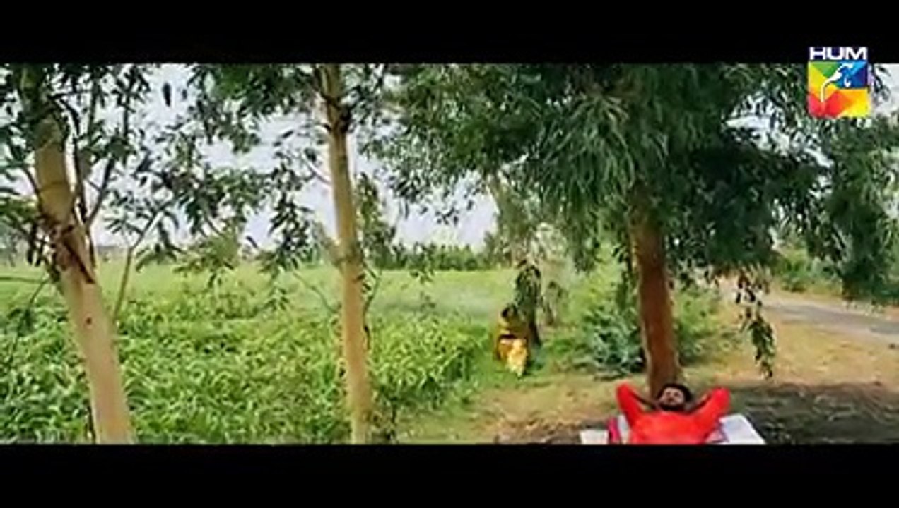 Laaj Episode 8 HUM TV
