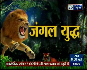 जंगल की सबसे हैरान करने वाली तस्वीरों का शो- जंगल युद्ध