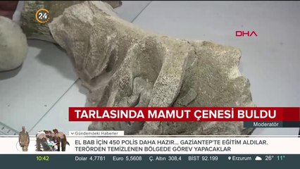 Yozgat'ta tarlasını işlerken 9 milyon yıllık mamut çenesi buldu