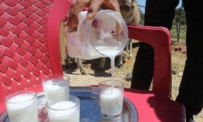 Kazanç kapısı oldu: Ayda 10 bin lira kazanıyor