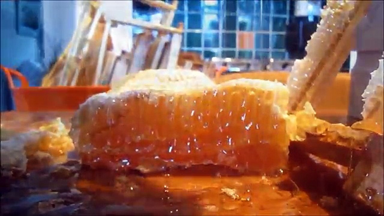 Honey_Harvest