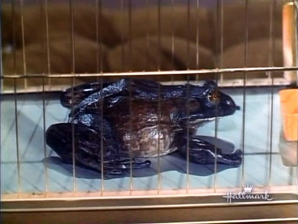The Beverly Hillbillies - 9x08 - The Frog Family